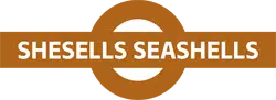 Shesells Seashells Logo